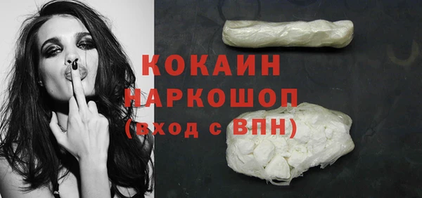 гидра Арсеньев