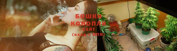 сатива Армянск