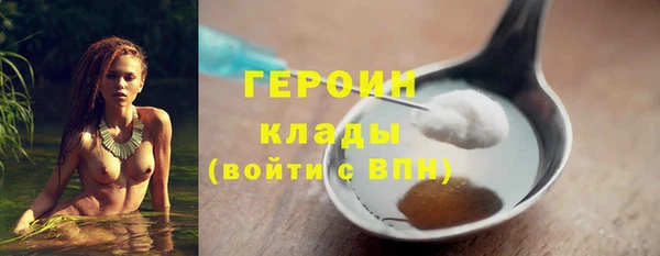 гидра Арсеньев