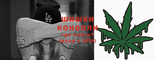 гидра Арсеньев