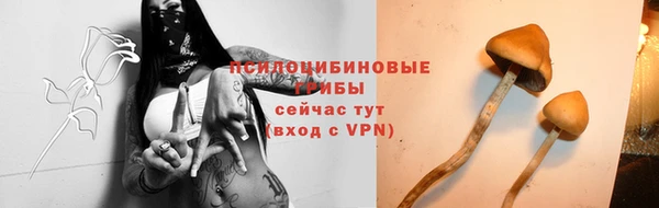 гидра Арсеньев