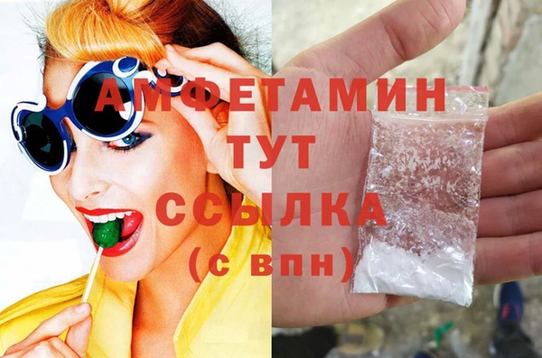 гидра Арсеньев