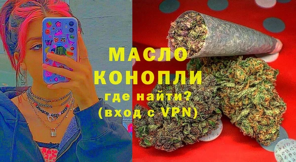 сатива Армянск