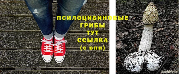 молекула духа Баксан