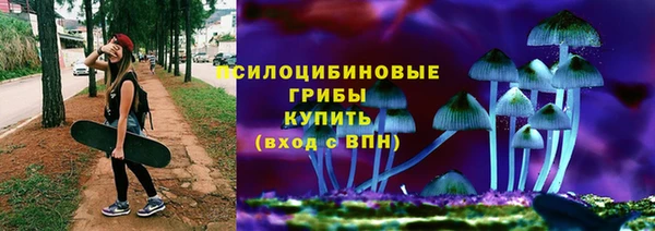 гидра Арсеньев
