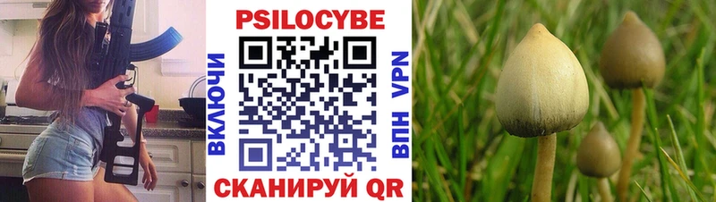 Псилоцибиновые грибы Magic Shrooms  shop телеграм  Мирный 